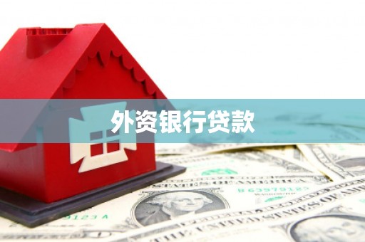 峨边外资银行贷款