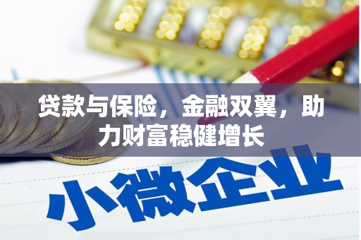 峨边贷款与保险，金融双翼，助力财富稳健增长