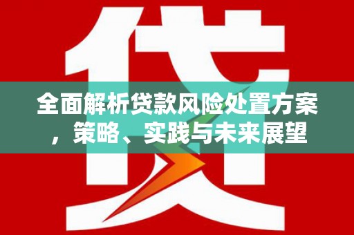 峨边全面解析贷款风险处置方案，策略、实践与未来展望