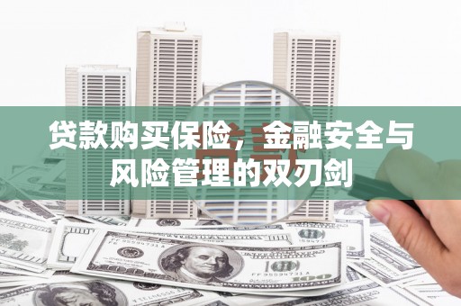 峨边贷款购买保险，金融安全与风险管理的双刃剑