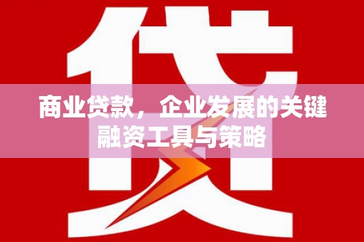 峨边商业贷款，企业发展的关键融资工具与策略