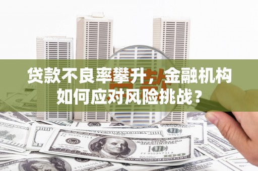 峨边贷款不良率攀升，金融机构如何应对风险挑战？