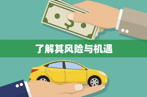 峨边了解其风险与机遇