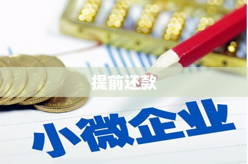 峨边提前还款