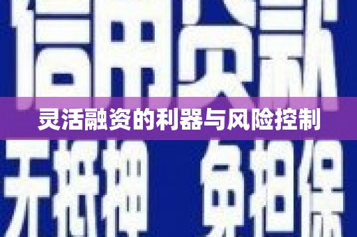 峨边灵活融资的利器与风险控制