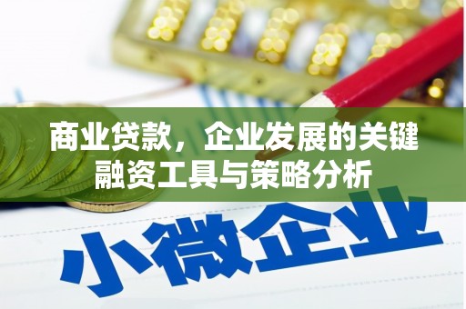 峨边商业贷款，企业发展的关键融资工具与策略分析