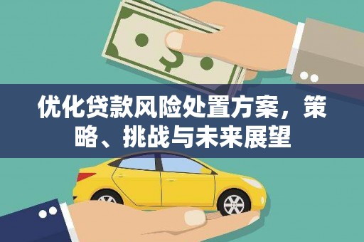 峨边优化贷款风险处置方案，策略、挑战与未来展望