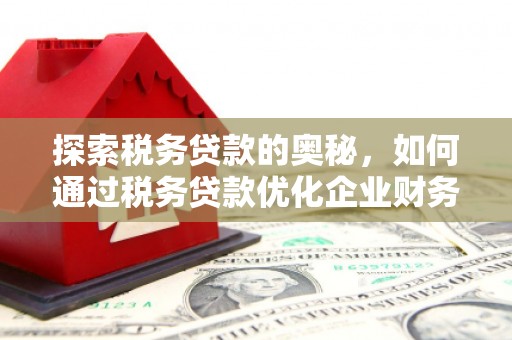峨边探索税务贷款的奥秘，如何通过税务贷款优化企业财务