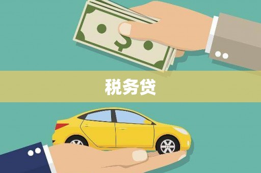 峨边税务贷