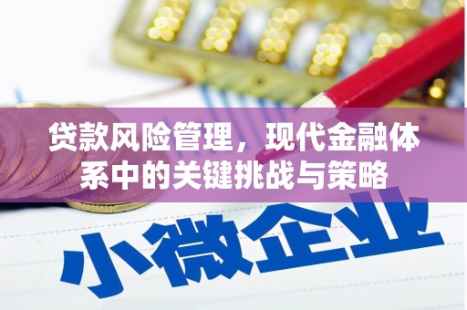 峨边贷款风险管理，现代金融体系中的关键挑战与策略