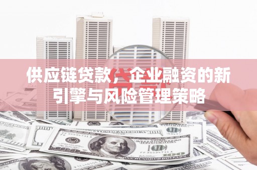 峨边供应链贷款，企业融资的新引擎与风险管理策略