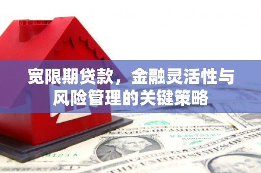 峨边宽限期贷款，金融灵活性与风险管理的关键策略