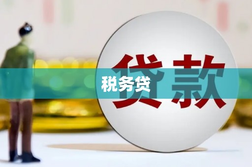 峨边税务贷