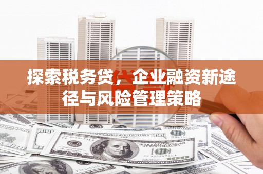 峨边探索税务贷，企业融资新途径与风险管理策略