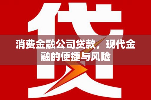 峨边消费金融公司贷款，现代金融的便捷与风险