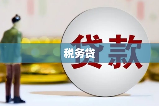 峨边税务贷