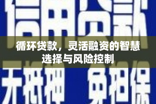 峨边循环贷款，灵活融资的智慧选择与风险控制