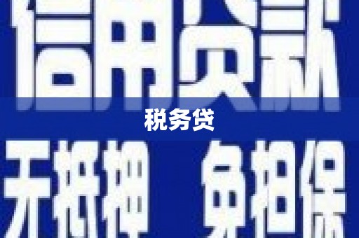 峨边税务贷