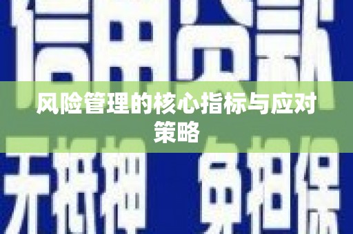 峨边风险管理的核心指标与应对策略