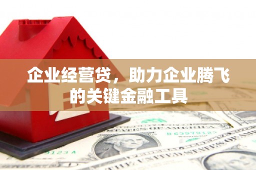 峨边企业经营贷，助力企业腾飞的关键金融工具