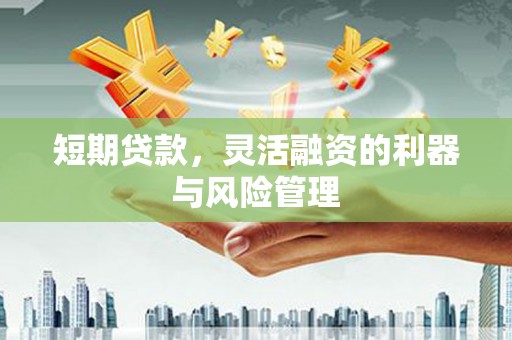 峨边短期贷款，灵活融资的利器与风险管理