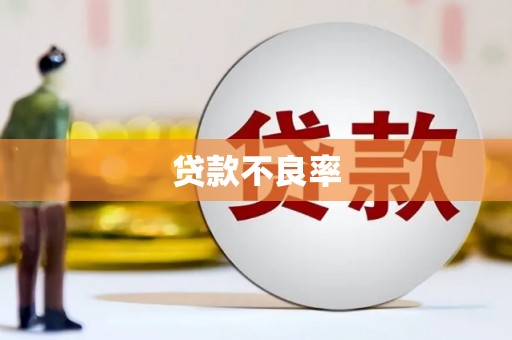 峨边贷款不良率