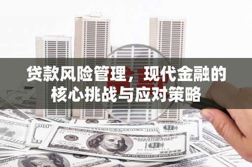 峨边贷款风险管理，现代金融的核心挑战与应对策略