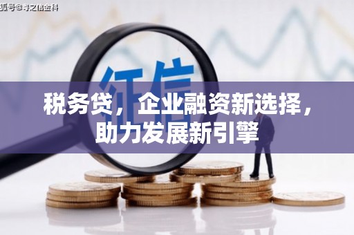 峨边税务贷，企业融资新选择，助力发展新引擎