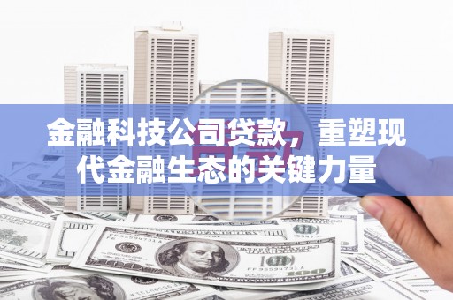 峨边金融科技公司贷款，重塑现代金融生态的关键力量