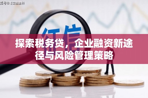 峨边探索税务贷，企业融资新途径与风险管理策略