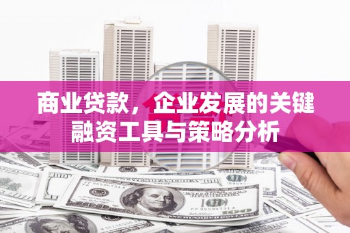 峨边商业贷款，企业发展的关键融资工具与策略分析