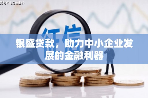 峨边银盛贷款，助力中小企业发展的金融利器