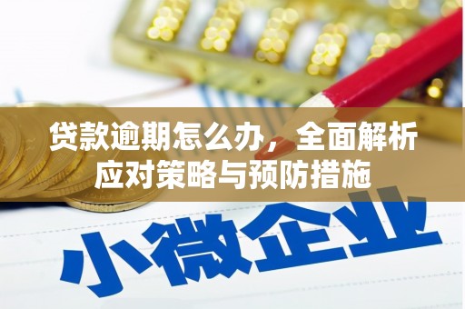 峨边贷款逾期怎么办，全面解析应对策略与预防措施