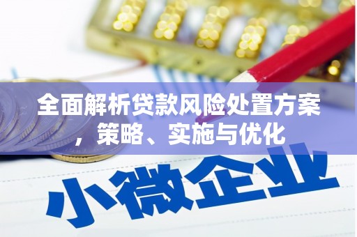 峨边全面解析贷款风险处置方案，策略、实施与优化