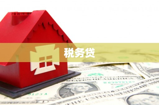 峨边税务贷