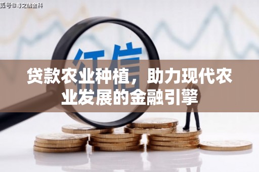 峨边贷款农业种植，助力现代农业发展的金融引擎
