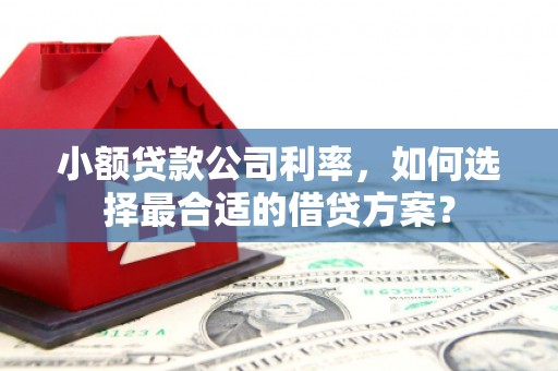 峨边小额贷款公司利率，如何选择最合适的借贷方案？