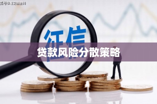 峨边贷款风险分散策略