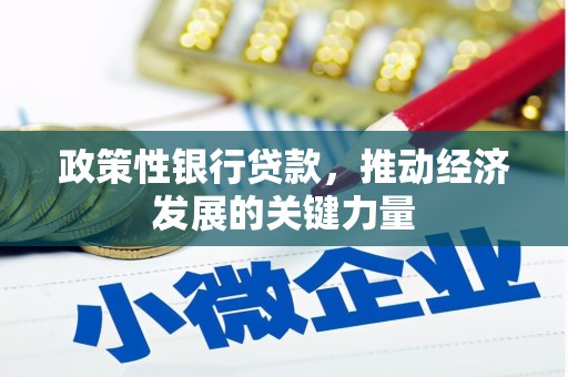 峨边政策性银行贷款，推动经济发展的关键力量