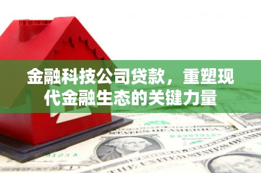峨边金融科技公司贷款，重塑现代金融生态的关键力量