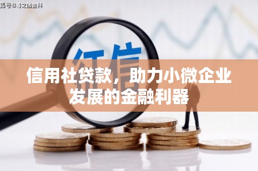 峨边信用社贷款，助力小微企业发展的金融利器