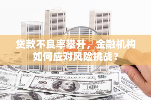 峨边贷款不良率攀升，金融机构如何应对风险挑战？