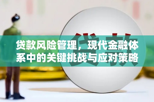 峨边贷款风险管理，现代金融体系中的关键挑战与应对策略