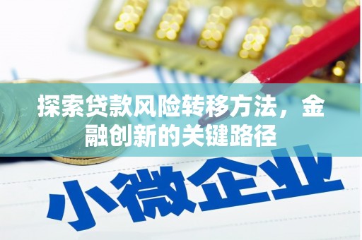 峨边探索贷款风险转移方法，金融创新的关键路径