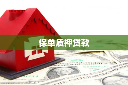 峨边保单质押贷款