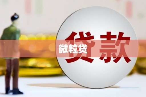 峨边微粒贷