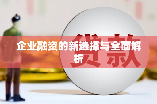 峨边企业融资的新选择与全面解析