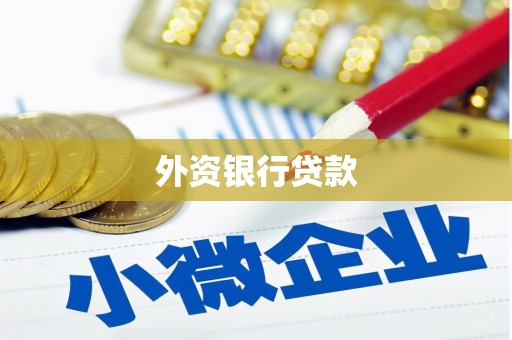 峨边外资银行贷款