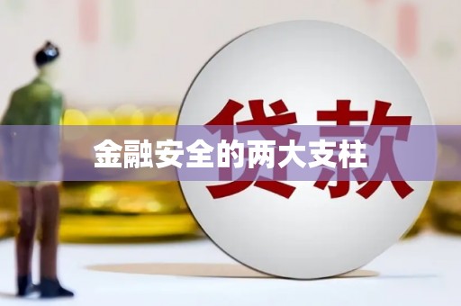峨边金融安全的两大支柱