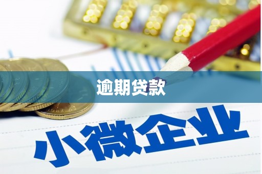 峨边逾期贷款